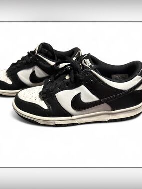 Big kids Nike Dunks